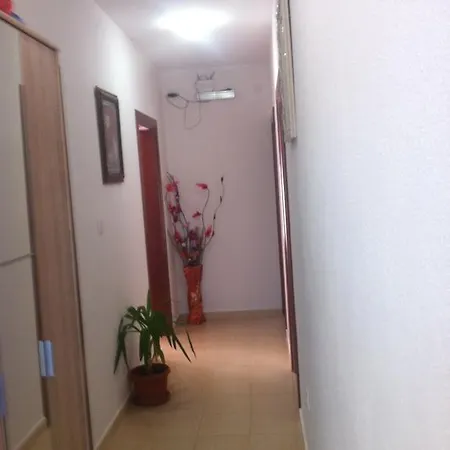 Apartment Nedovic-jaz *